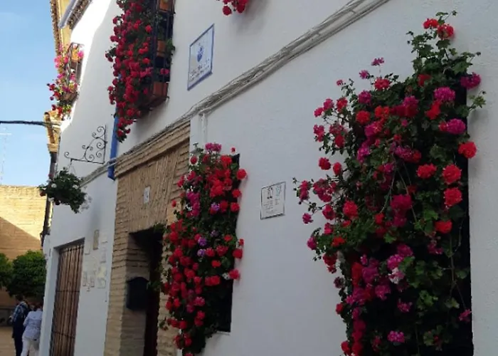 Apartment En Barrio San Basilio *