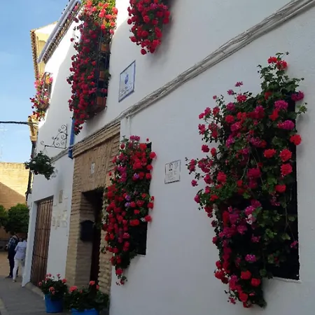 Apartament En Barrio San Basilio *